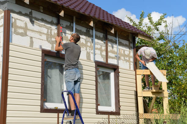 Affordable Siding Repair and Maintenance Services in Westernport, MD